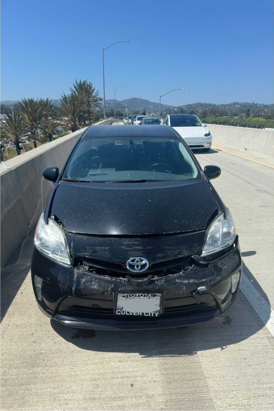 Front Bumper & Paint Repair — before
