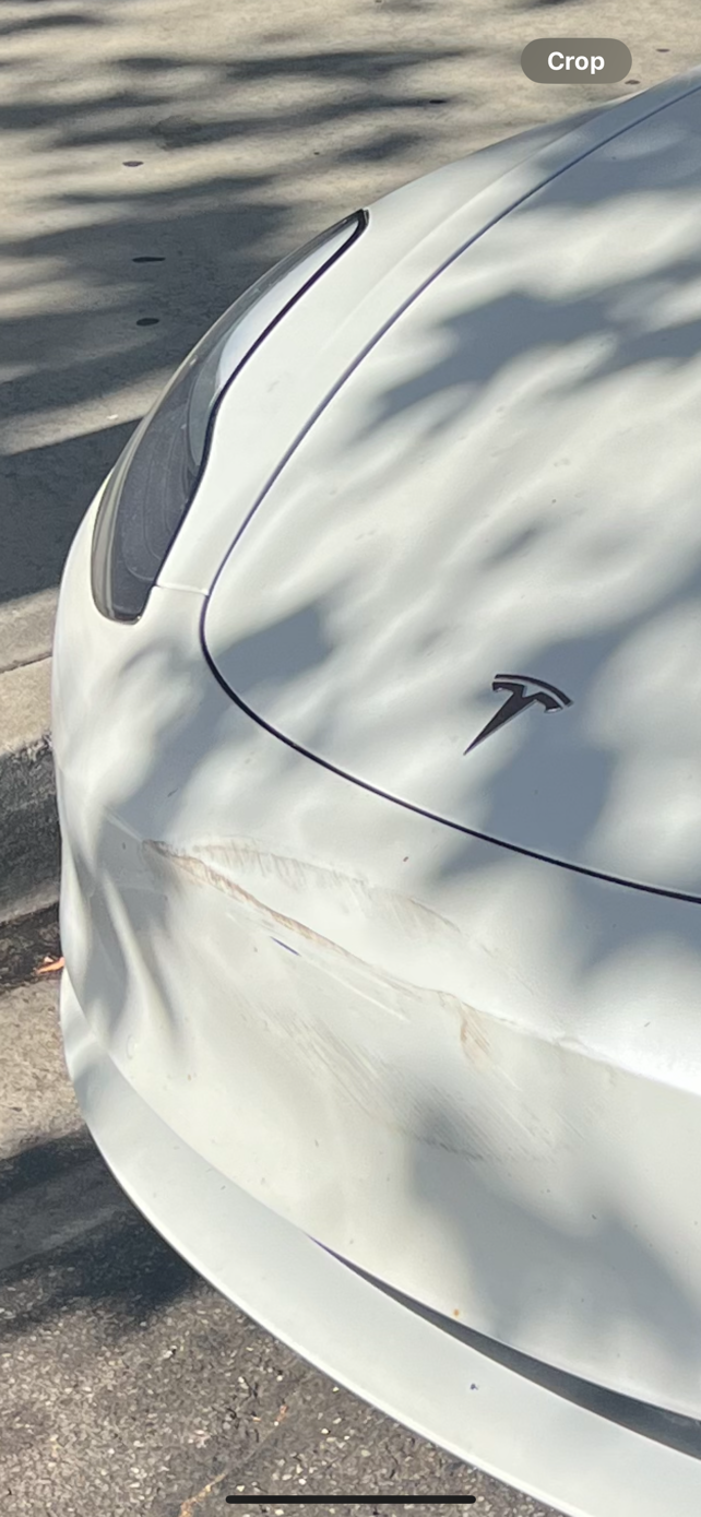 Front Bumper Scuff Repair — before